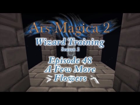 CupCodeGamers - Wizard Training - Season 2 - Episode 48 - A Few More Flowers