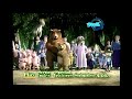 Shrek 2001 Main Menu DVD