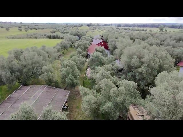 VIDEO DRONE - az. agric. canino