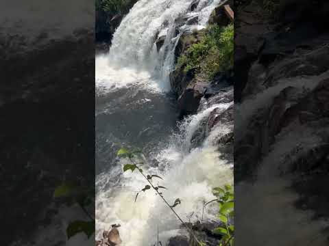 Cachoeira em São Bento do Tocantins #aventura #videos #turismo #shorts