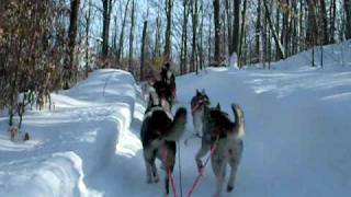 preview picture of video 'Husky Adventure - Tremblant, QC'