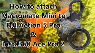 HUGE NEWS! Macromate Mini can now be attached to DJI Action 5 Pro and Insta360 Ace Pro 2.