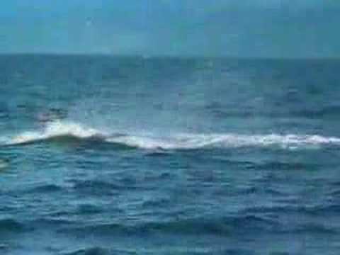 Kayak accident ! Killer whale smashed a kayak guy