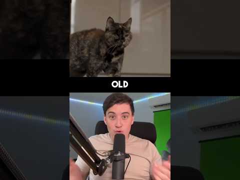 THIS IS THE OLDEST CAT EVER! #Shorts