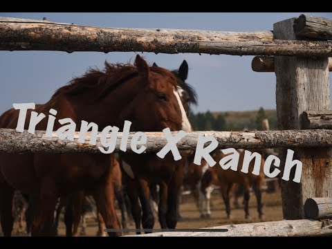 Our Family Trip (Triangle X Ranch)
