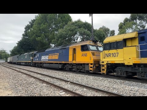 5MP5 With #NR85 #NR107 #AN8 & #G538 Thru Belair & Torrens Park