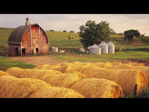 Larry Carlton - Farm Jazz