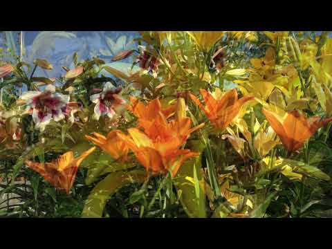 Bergströms Trädgård på Strömsön, en rundtur