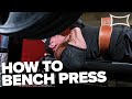 How to Bench Press