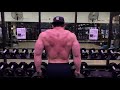 Dumbbell Shrugs