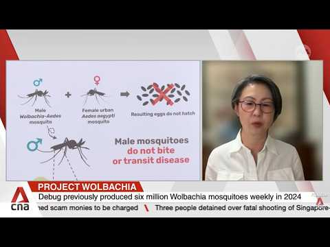 Expanded mosquito production facility now produces 10 million ...