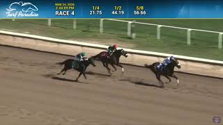 Turf Paradise Full Race Replays + Results | March 24, 2026