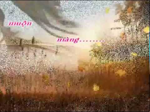 Tiếng gọi thênh thang - Ý Lan