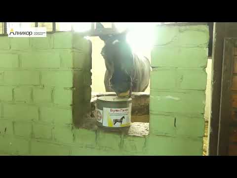 Миниатюра изображения товара Кормовая добавка для сельскохозяйственных животных Алникор Лизунец солевой минерально-витаминный для лошадей Буян Галоп (5кг)