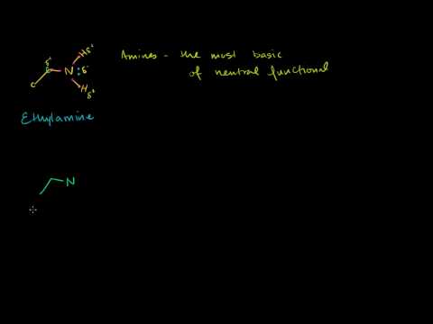 Amine as Nucleophile in Sn2 Reaction 