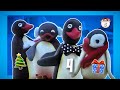 Pingu El Doblaje Loco 16 Pingu Quiere Mucho A Su Familia 3 Gerardo Y Sus Amigos
