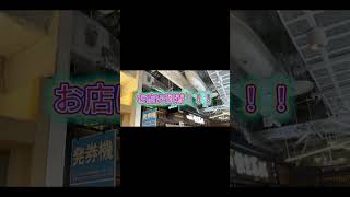 【すし】回転寿司 根室花まる ココノススキノ店行ってみた.. ＃北海道観光 ＃札幌すし ＃花まる #クラシック　#自律神経　＃北海道 ＃札幌  ＃ラーメン
