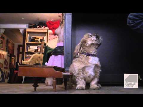 Socalled & Poopsie sing the blues