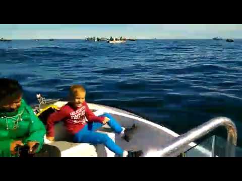 Cristiaan Lizamore 7 years old catching snoek from his dads boat a Stompneusbaai