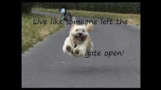 Rick Lee - Paralyzed