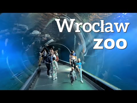 ZOO Wrocław Oceanarium Afrykarium MAJ 2023 MYSZOJELEŃ