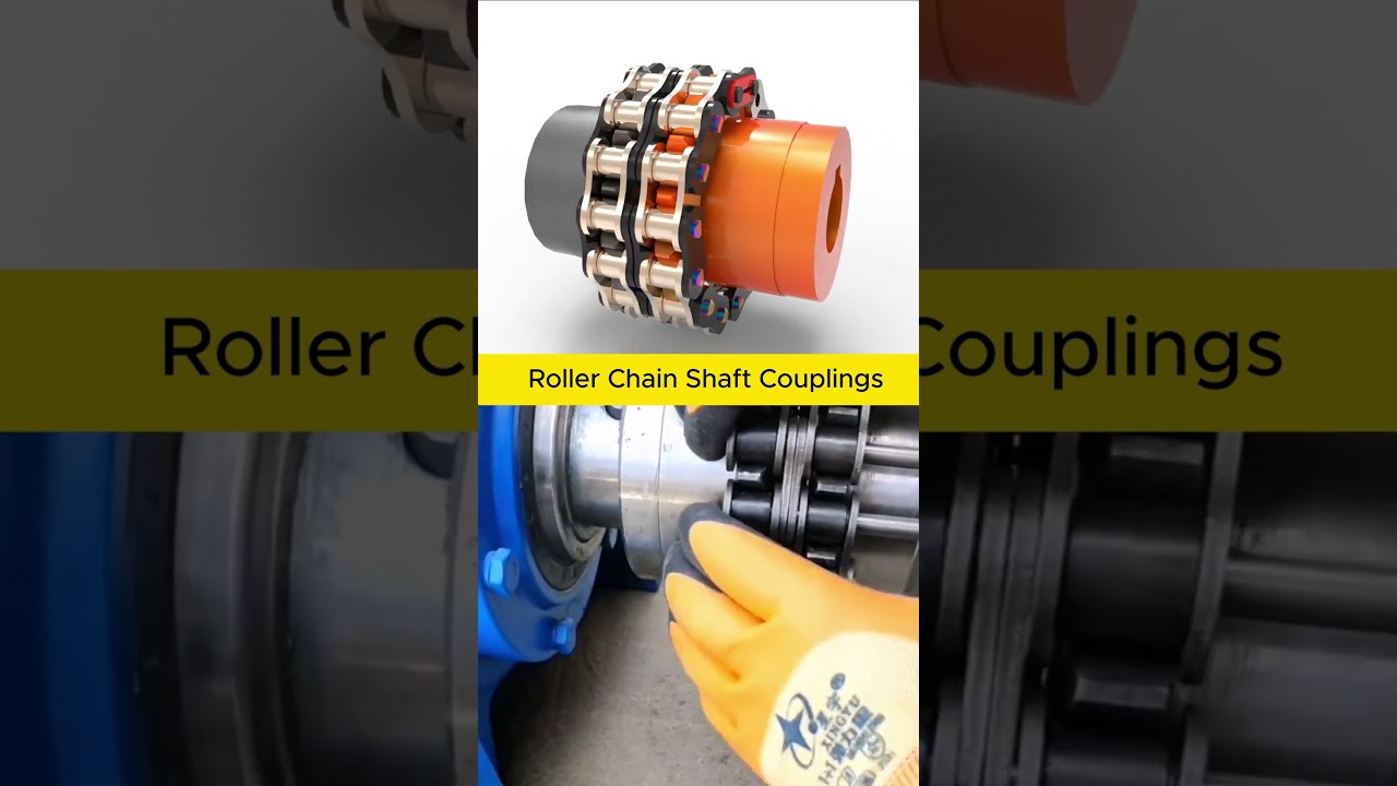 Roller Chain Shaft Couplings  #cad #mechanical #engineering #mechanism #3ddesign #solidworks