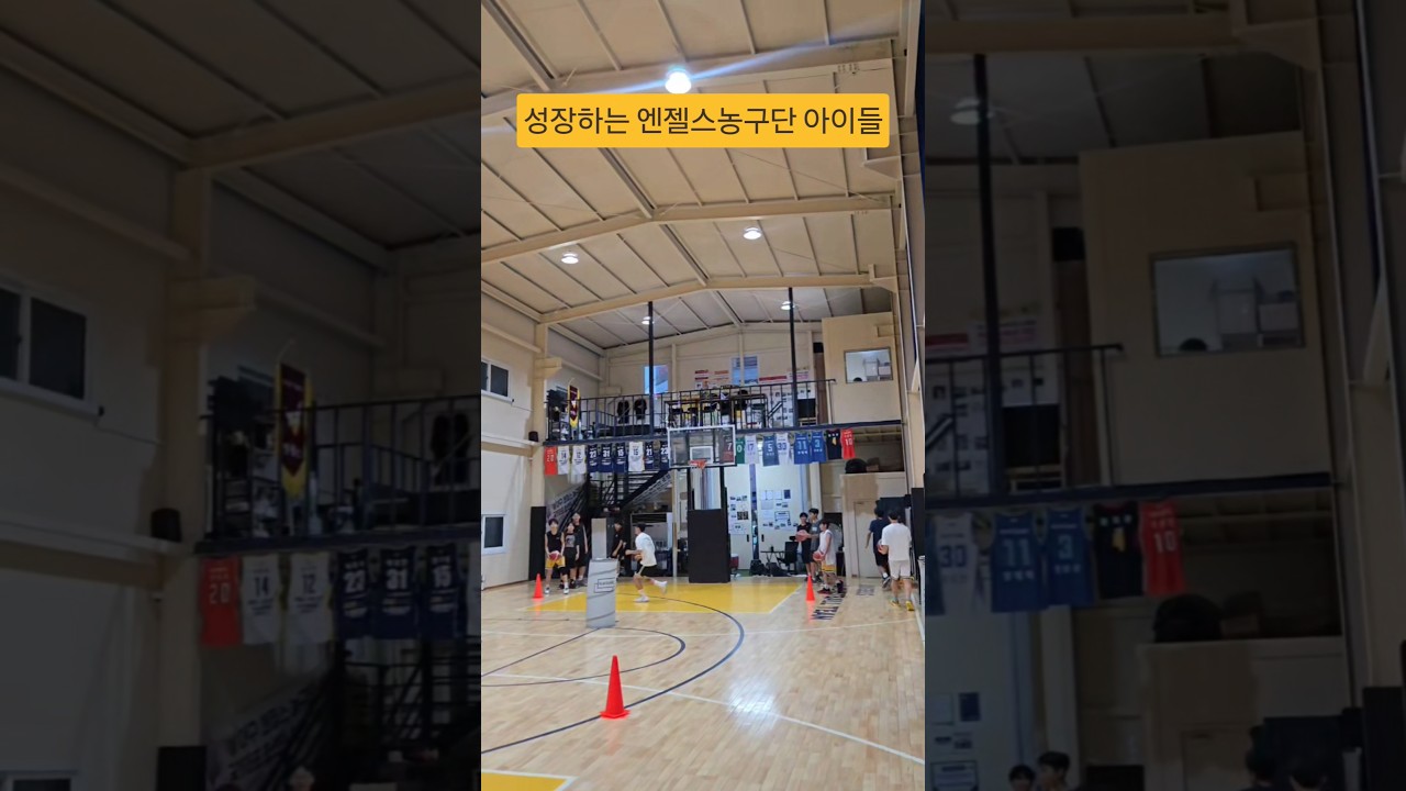 엔젤스농구단훈련~#엔젤스농구단 #프로농구 #nba #kbl #쇼츠 #shorts #southkorea #성장 #국가대표#피땀눈물 #아이들 #노력 아이들과가족들이웃는그날까지~