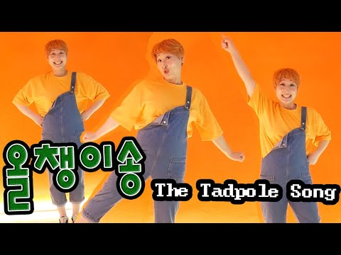 올챙이송 |올챙이와개구리|올챙이송율동|인기동요|율동동요