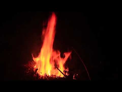 432 Hz NATIVE AMERICAN FLUTE INTENSE HEALING💫💫💫💫✨✨✨✨A Cricket's Love 7 HOURS- Kelvin Mockingbird