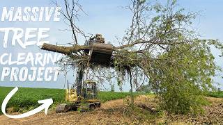 This Tree Clearing Job Changed the Whole Farm! - HyReach Clipper - THE RIGHT TOOL FOR THE JOB!