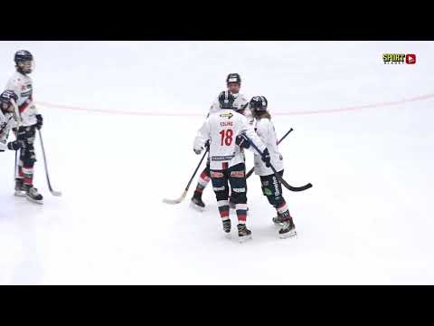 Höjdpunkter | Herrlaget förlorade mot Edsbyn