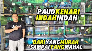 Download lagu REVIEW OF PAUD KENARI‼️BEAUTIFUL PAUD KENARI from CHEAP to EXPENSIVE... mp3