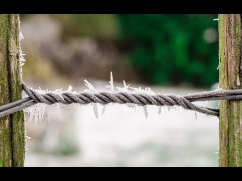 NEW SOUND Edward Maya Ft.Mayavin Sabyh l  NCS 2019