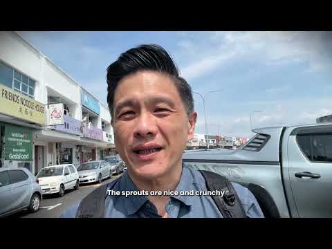 Everything I Ate In IPOH - Famous Ipoh Hor Fun, Bean Sprout Chicken, Food Factories and more!