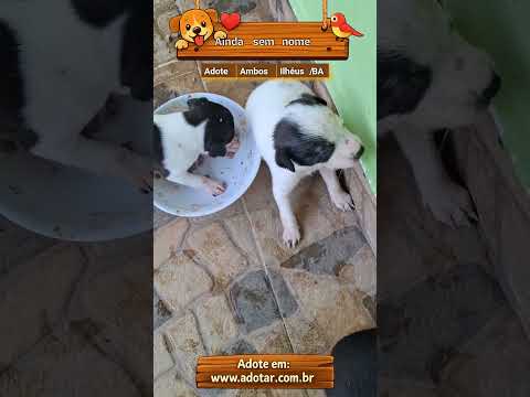 Vídeo de Ainda sem nome
