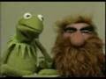 Sesame Street Beard