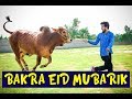 Bakra eid Mubarik By Peshori vines official