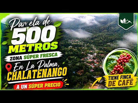 Parcela de 500 mts² con Finca de café en la zona alta en vent!! La Palma, Chalatenango!