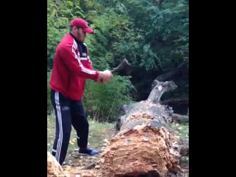Makhmudov chopping a tree