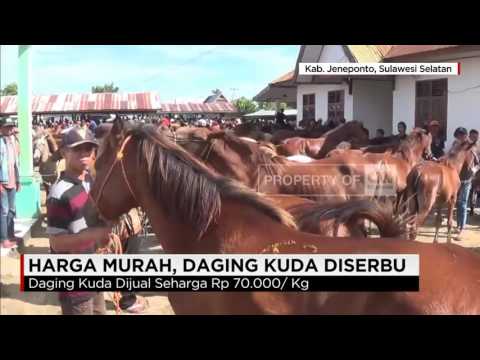 Obat murah untuk meningkatkan potensi Pohon jimat palu Thor