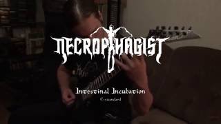 Necrophagist - Intestinal Incubation (cover)