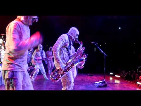 Here Come The Mummies Perform 