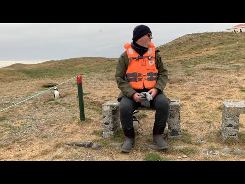 Kassin - Momento de Clareza