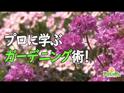 リサイクルされたオブジェクトを使った庭の装飾: 外装を一新する 13 のアイデア  庭園