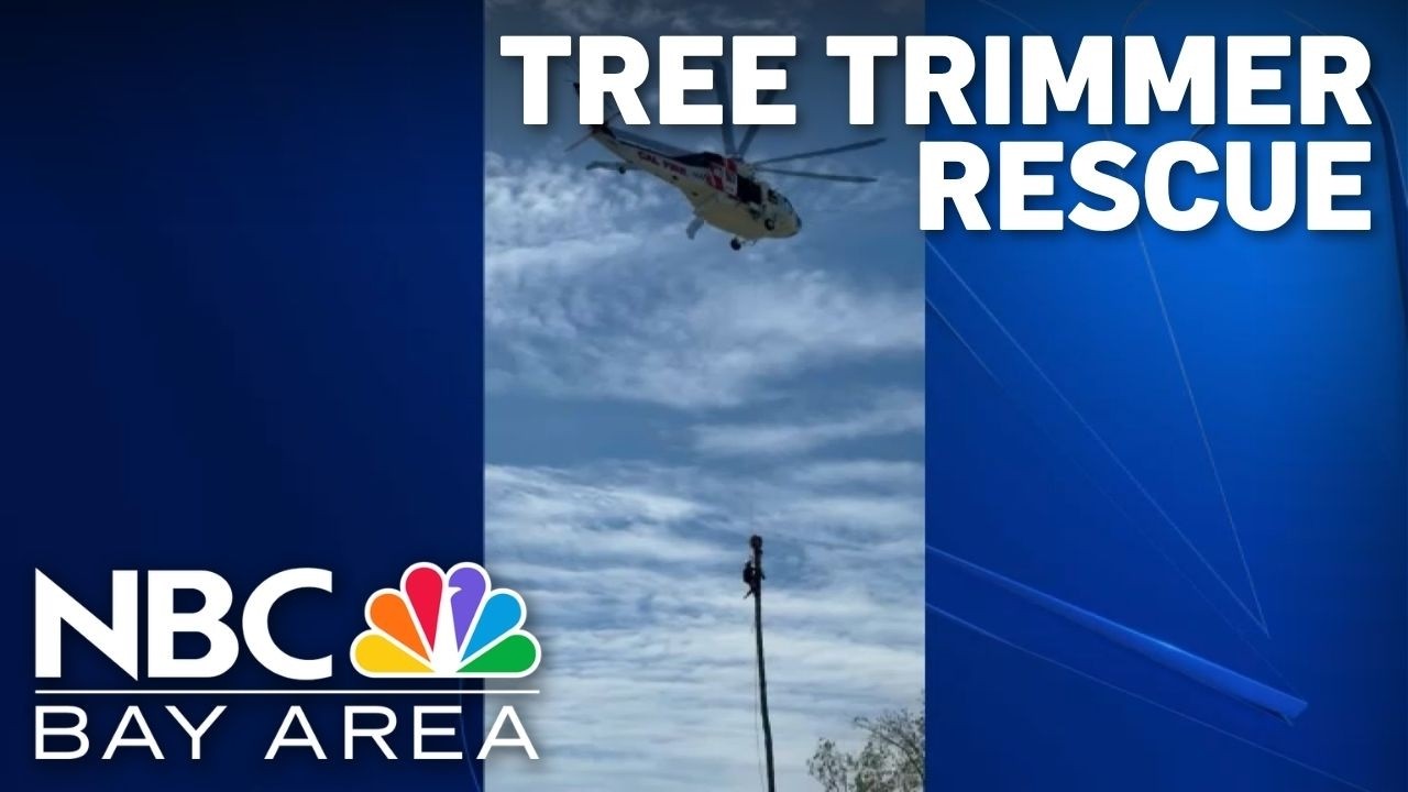 Worker rescued from tree in San Jose, taken to hospital in serious condition