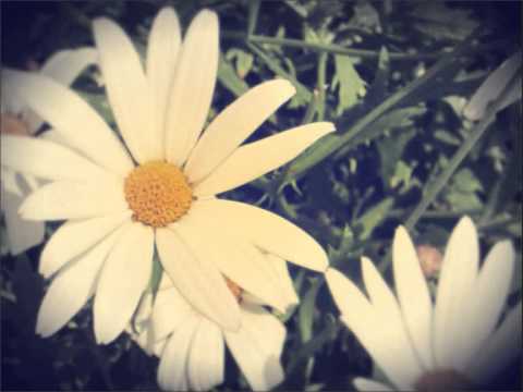 Video thumbnail for Canto Da Primavera