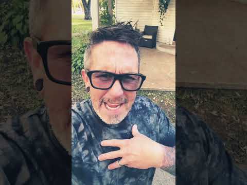 ¡Odio a los criadores de perros! #americanbully #cachorrosamericanbullyenventa