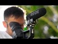 Rode Mikrofon VideoMic Pro R