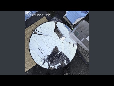 The Flesh of the World