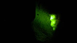 Download lagu Nightjars for company and a green glow to light the way mp3 Download lagu Nightjars for company and a green glow to light the way mp3